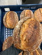 Organic Sourdough